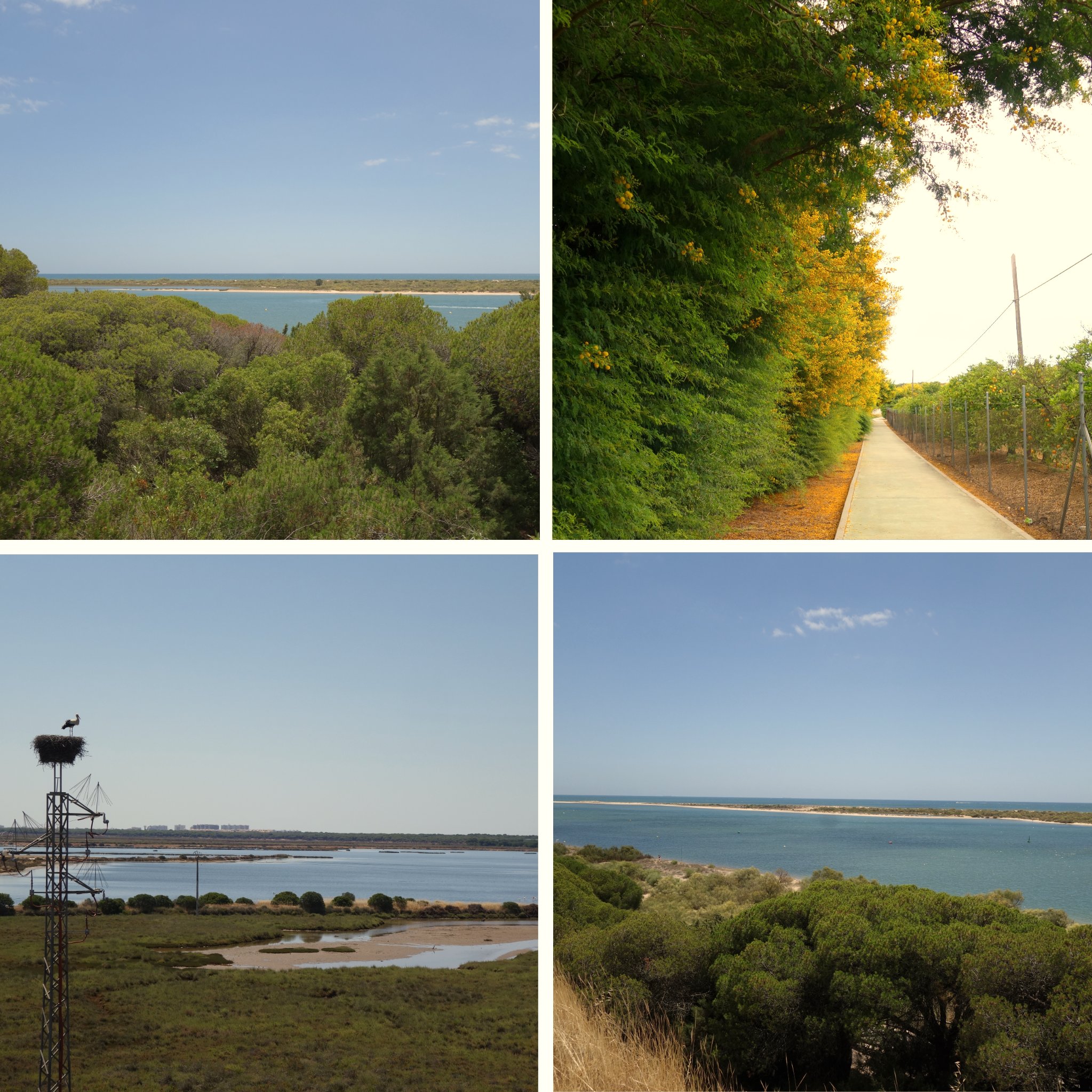 dia10_eurovelo1 dia10_eurovelo1