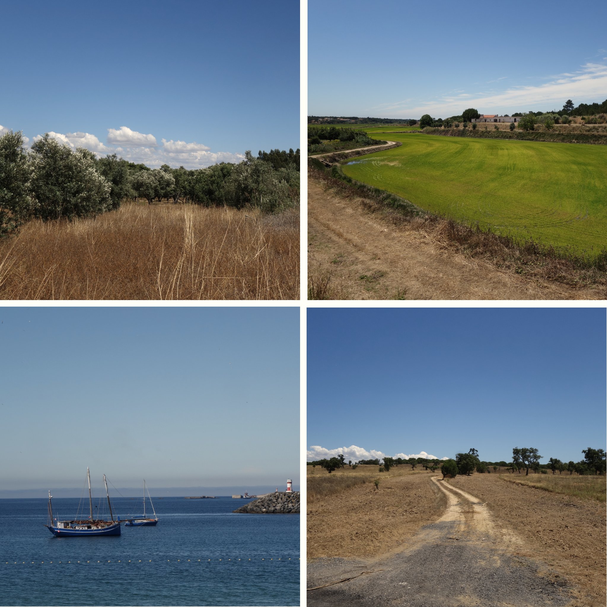 dia7_eurovelo1 dia7_eurovelo1