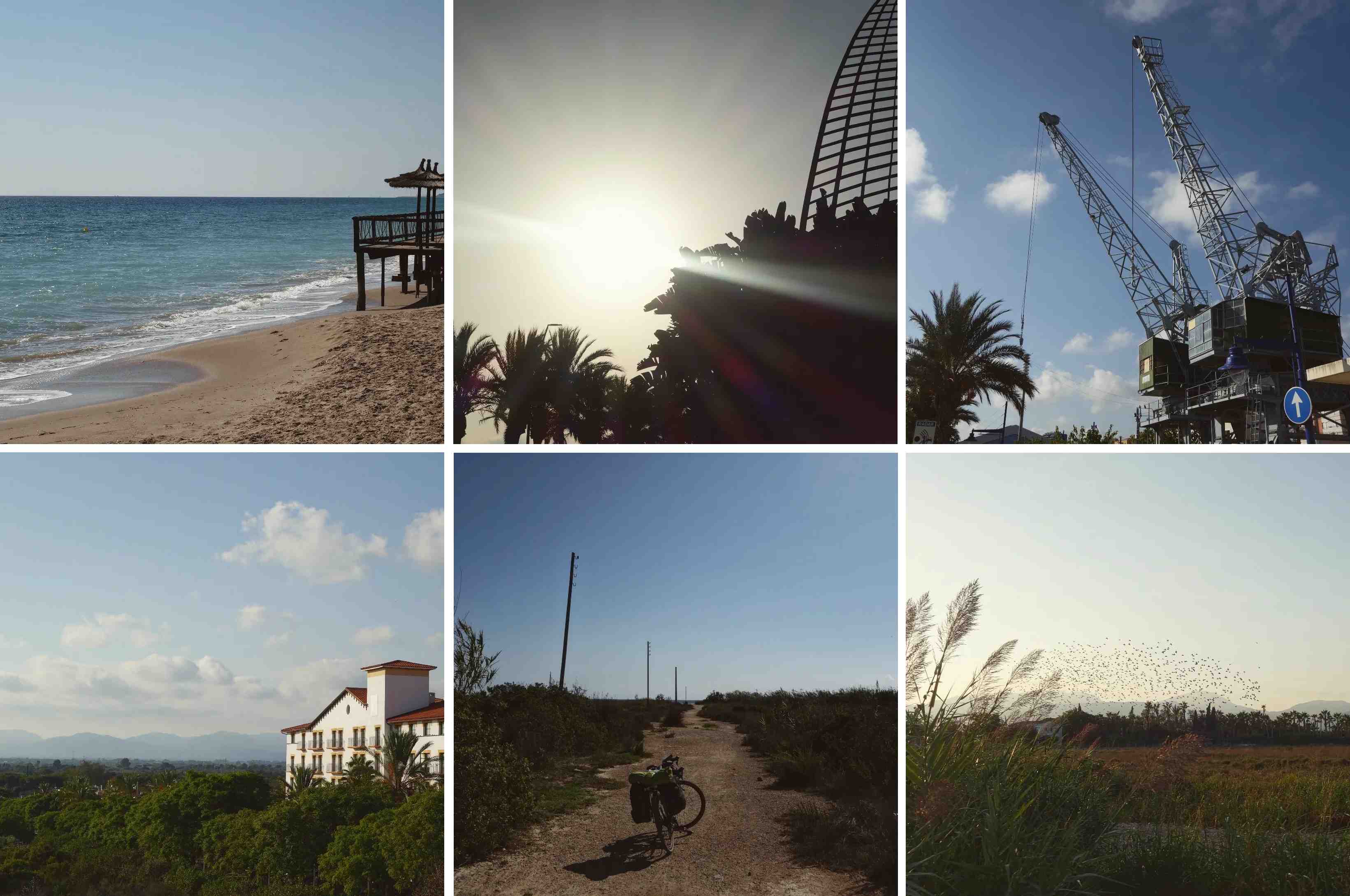 day15_bikeGreTen day15_bikeGreTen