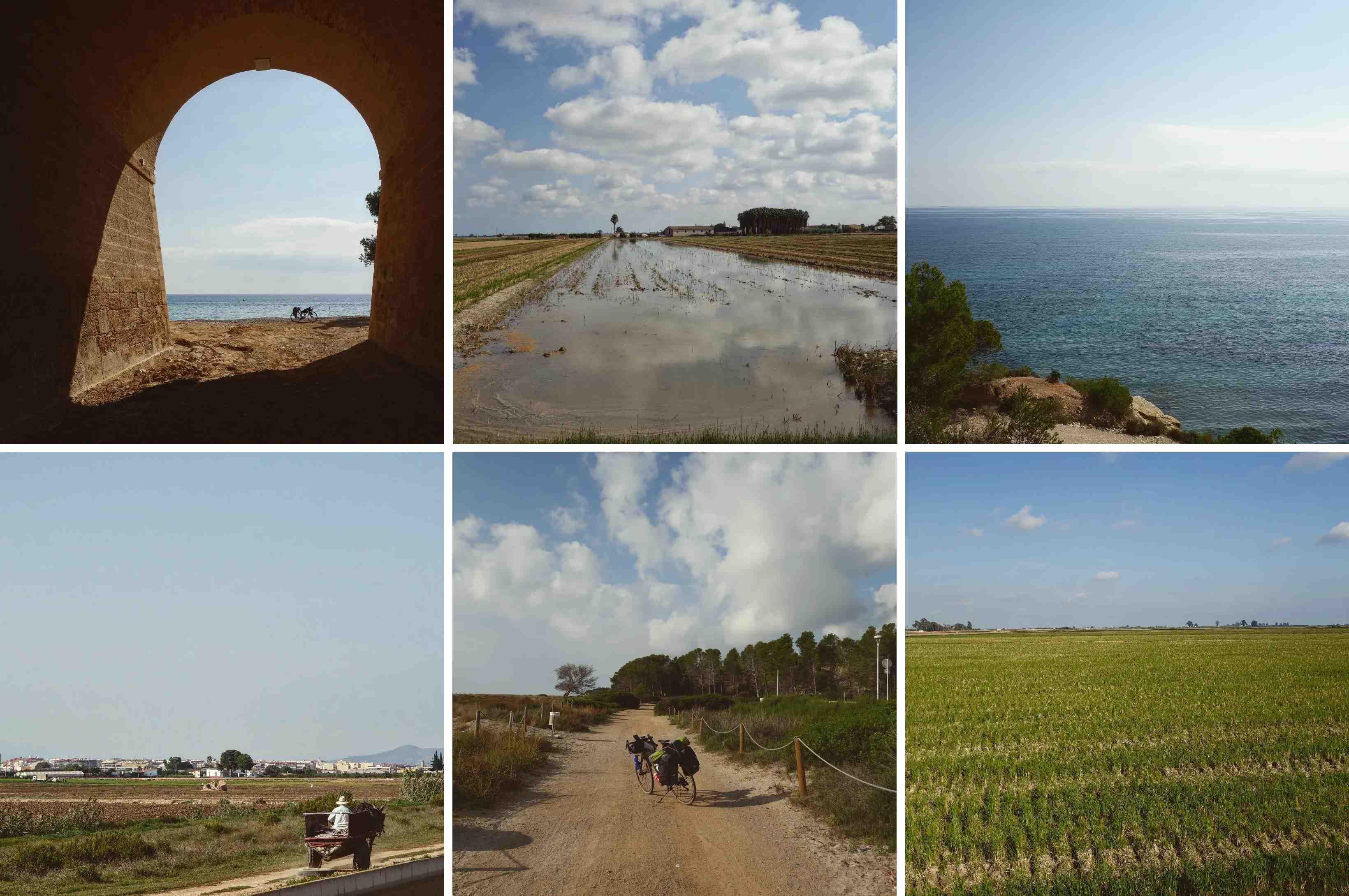 day16_bikeGreTen day16_bikeGreTen