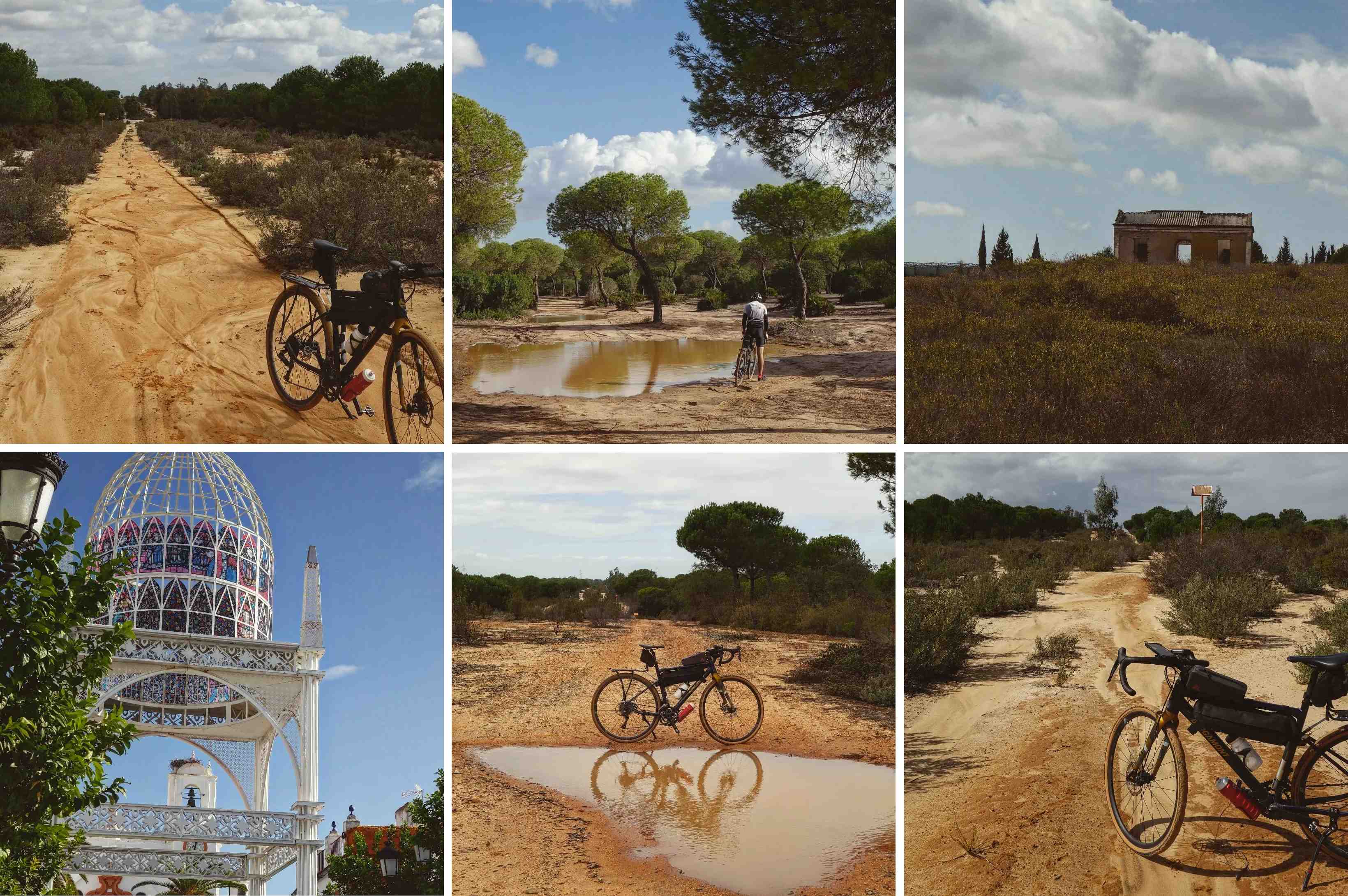 day26_bikeGreTen day26_bikeGreTen