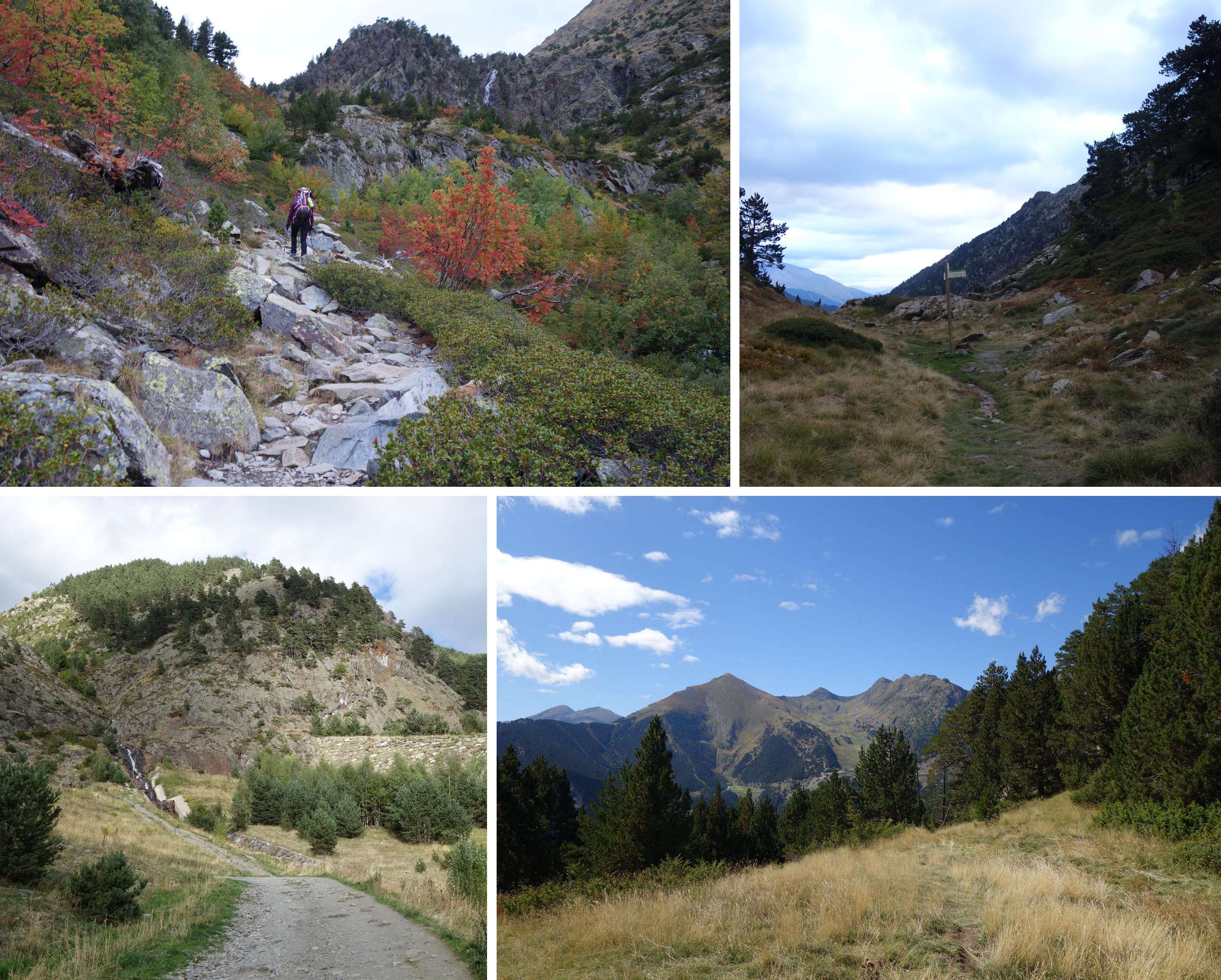 day13_Transpirenaica