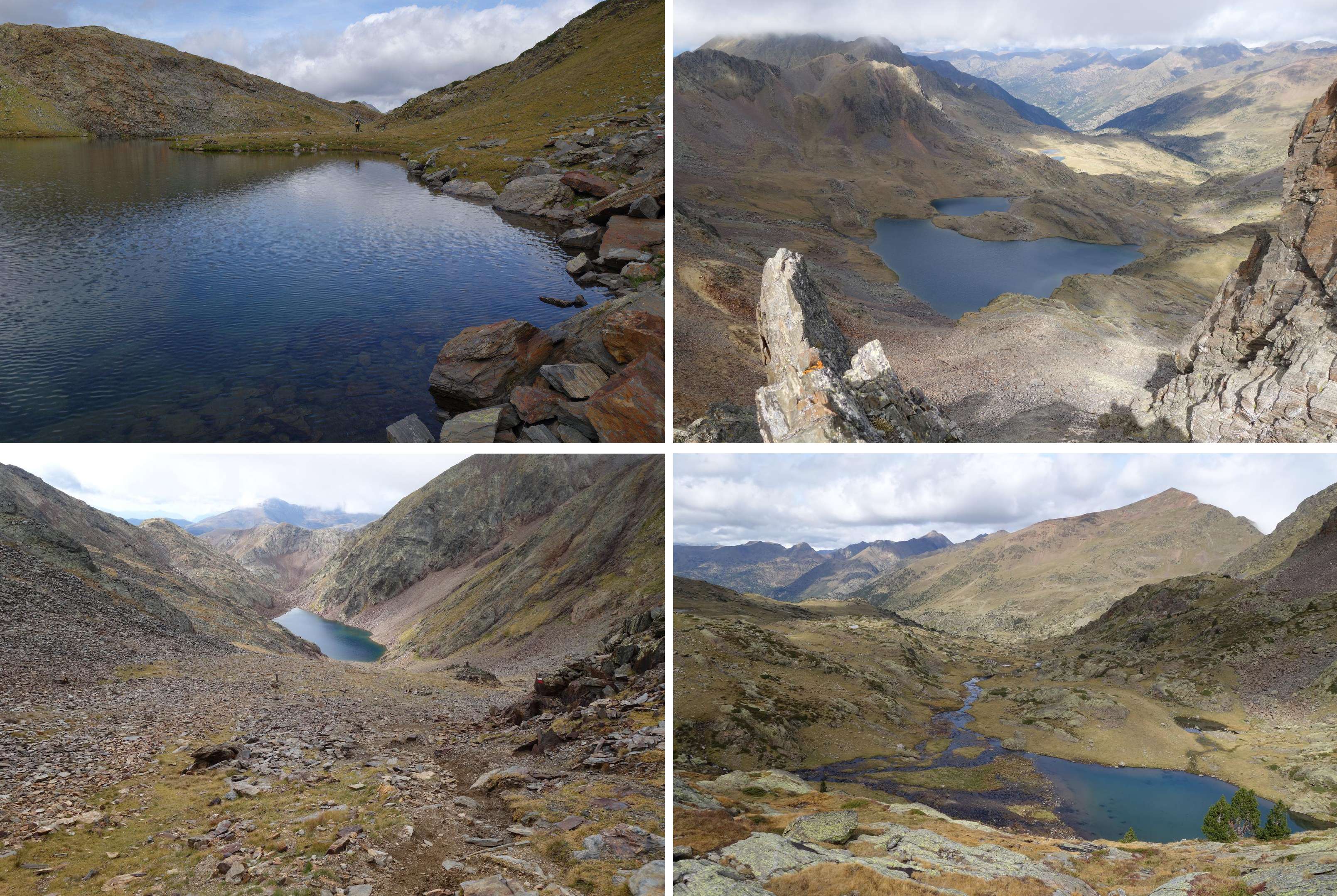 day14_Transpirenaica