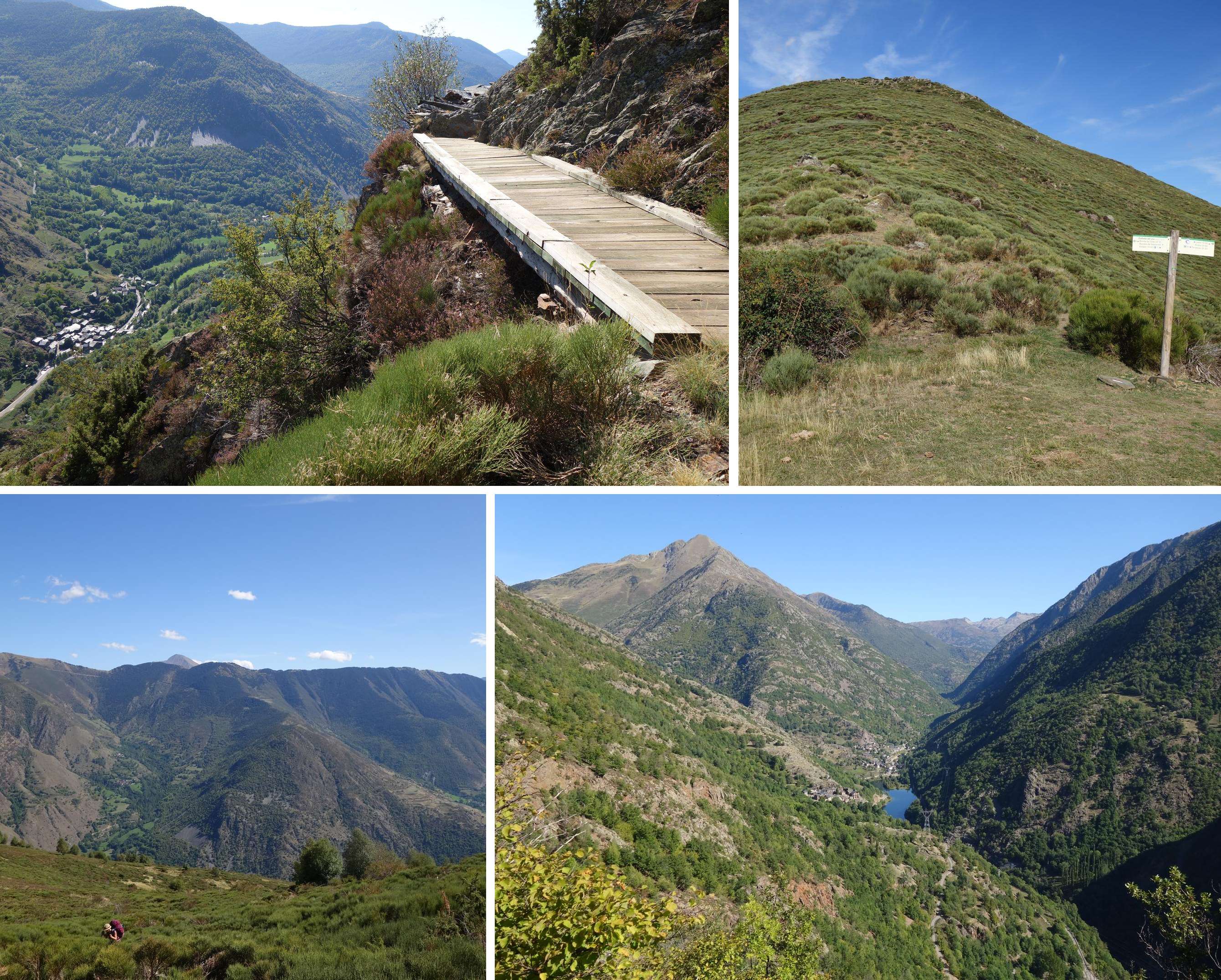 day16_Transpirenaica