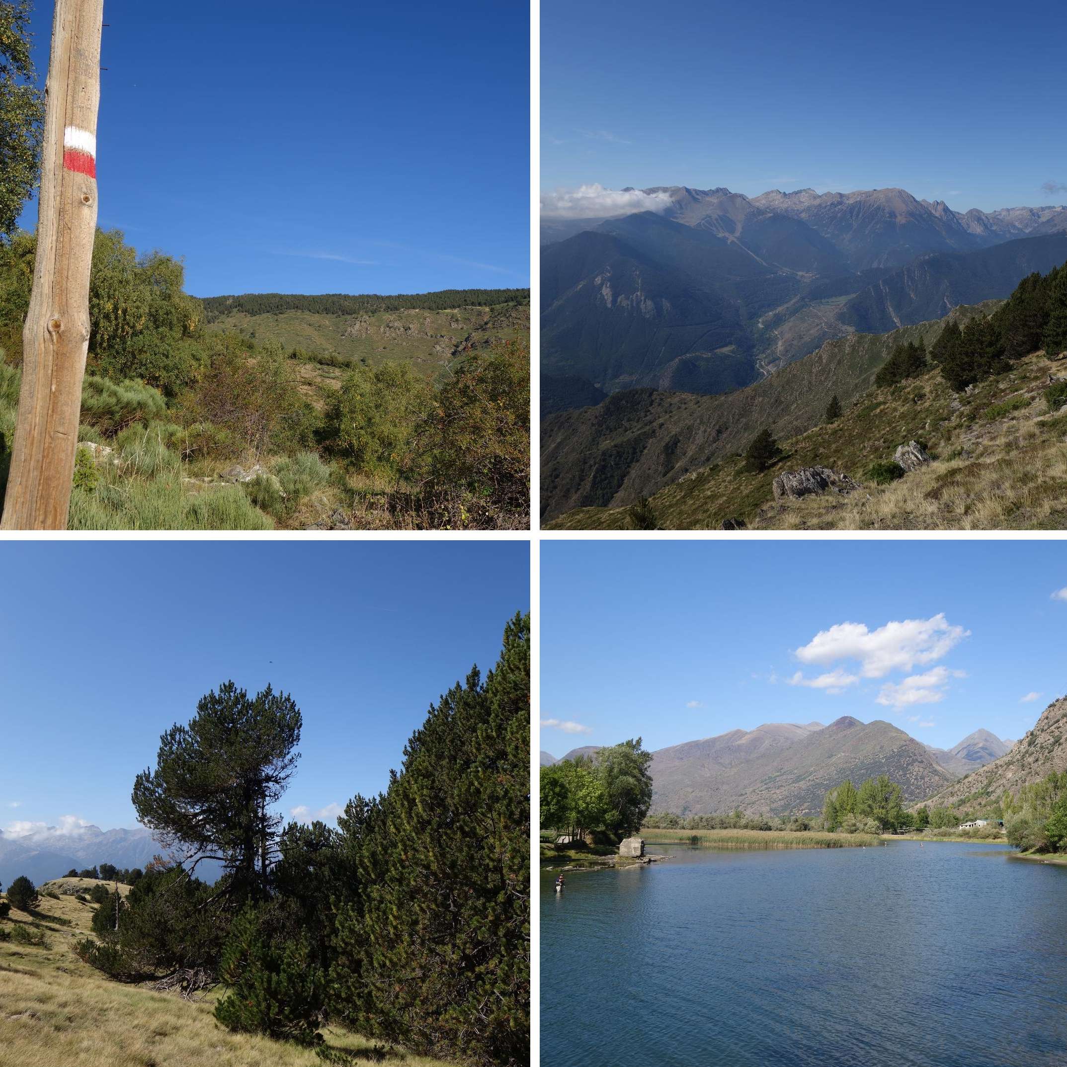 day17_Transpirenaica